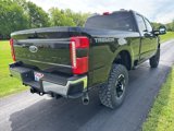 New 2025 Ford F250 4x4 Crew Cab Super Duty image 6