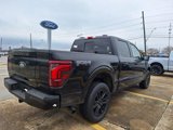New 2025 Ford F150 Platinum w/ Equipment Group 702A High image 5