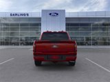 New 2025 Ford F150 XLT image 5