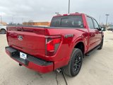 New 2025 Ford F150 XLT w/ Equipment Group 302A MID image 5
