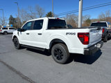 New 2025 Ford F150 STX w/ Equipment Group 201A FX4 image 3