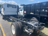 New 2025 Chevrolet Low Cab Forward image 4