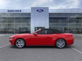 New 2025 Ford Mustang GT Premium image 3