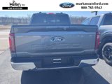 New 2025 Ford F150 XLT w/ Equipment Group 302A MID image 6