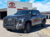 New 2025 Toyota Tundra Platinum image 3