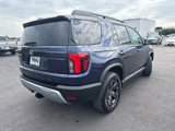 Used 2026 Honda Passport RTL image 3