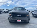 New 2025 Ford F150 STX w/ Equipment Group 200A image 2