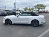 Used 2022 Ford Mustang Premium image 2