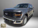 New 2025 Ford F150 XL w/ Equipment Group 103A High image 3