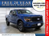 New 2025 Ford F150 STX image 1