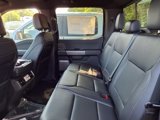 New 2025 Ford F150 XLT w/ Equipment Group 303A High image 6