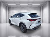 New 2025 Lexus NX 350 AWD w/ Luxury Package image 4