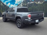 Certified 2021 Toyota Tacoma TRD Sport w/ TRD Premium Sport Package image 6