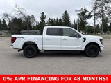 New 2025 Ford F150 XLT image 2