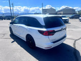 Used 2023 Honda Odyssey Sport image 6