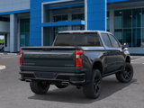 New 2026 Chevrolet Silverado 1500 Custom Trail Boss image 4