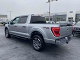 Used 2023 Ford F150 XL w/ STX Appearance Package image 4