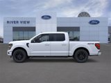 New 2025 Ford F150 XLT w/ Equipment Group 302A MID image 3