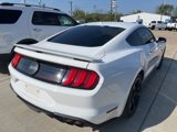 Used 2019 Ford Mustang GT Premium w/ Equipment Group 401A image 3