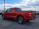 Certified 2023 Ford F150 XL w/ STX Appearance Package image 4