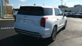 New 2025 Hyundai Palisade Calligraphy image 4