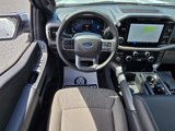 New 2025 Ford F150 XLT w/ Equipment Group 302A MID image 4