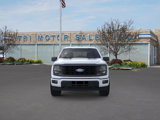 New 2025 Ford F150 STX w/ Equipment Group 200A image 6
