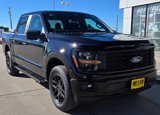 New 2025 Ford F150 STX image 2