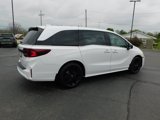 New 2025 Honda Odyssey Sport-L image 3
