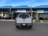 New 2025 Ford F250 XL image 5