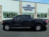 Used 2013 Ford F150 XLT w/ Luxury Equipment Group image 2