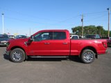 New 2024 Ford F150 XLT w/ Equipment Group 303A High image 2