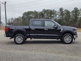 New 2025 Ford F150 XLT w/ Equipment Group 303A High image 5