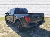 New 2025 Ford F150 STX w/ STX Black Appearance Package image 3