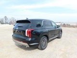 New 2025 Hyundai Palisade Calligraphy image 5
