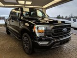 Certified 2023 Ford F150 XLT w/ Equipment Group 302A High image 3