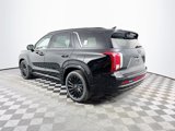 New 2025 Hyundai Palisade Calligraphy image 5