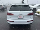 Used 2022 Audi Q5 2.0T Premium Plus w/ Premium Plus Package image 6