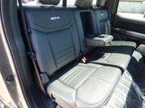 New 2025 Ford F150 Platinum w/ Equipment Group 702A High image 6