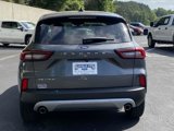 Used 2024 Ford Escape Active w/ Cold Weather Package image 6