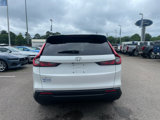 New 2026 Honda CR-V EX-L image 4