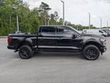 New 2025 Ford F150 Platinum w/ Equipment Group 702A High image 4