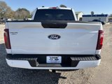 New 2025 Ford F150 STX image 6