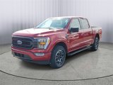 Certified 2021 Ford F150 XLT w/ Equipment Group 302A High image 4