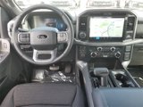 New 2025 Ford F150 XLT w/ Equipment Group 302A MID image 4
