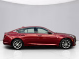 Used 2024 Cadillac CT5 Premium Luxury w/ Platinum Package image 6