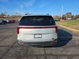 New 2025 Kia Carnival SX Prestige image 3