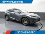 Used 2021 Lexus NX 300 AWD w/ Accessory Package 2 image 3