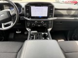 New 2025 Ford F150 XLT w/ Equipment Group 302A MID image 6