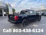New 2025 Ford F150 Platinum image 3